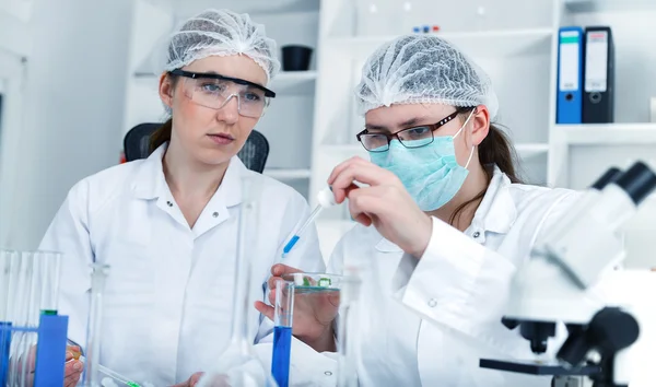 Equipe de cientistas em um laboratório que trabalha em testes químicos — Fotografia de Stock