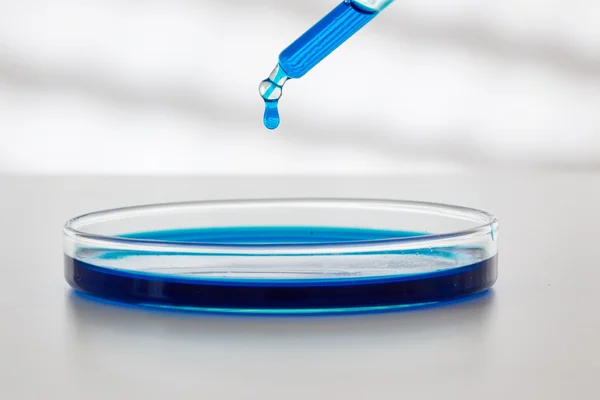 renkli sıvı ve petri yemekler damla ile pipet,
