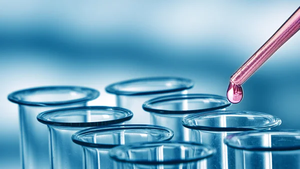 Pipette adding fluid to one of several test tubes .medical glassware — Stock Photo, Image