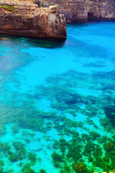 Blå lagunen på Comino Island, Malta Gozo — Stockfoto