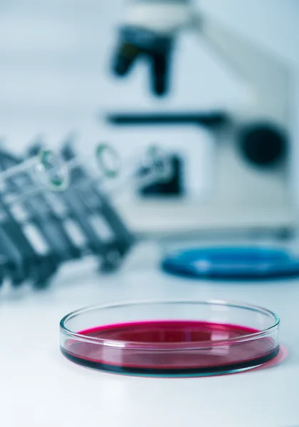 Colore liquido in piatti Petri. Immagine tonica — Foto Stock