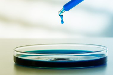 renkli sıvı ve petri yemekler damla ile pipet.