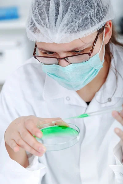 Cientista que trabalha no laboratório — Fotografia de Stock