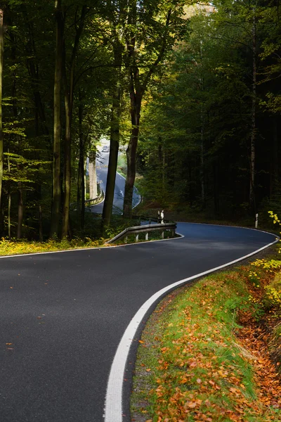 Herfst landschap met weg- en prachtige bomen. Saksische Zwitserland, Duitsland — Stockfoto