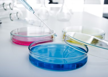 renkli sıvı ve petri yemekler damla ile pipet.