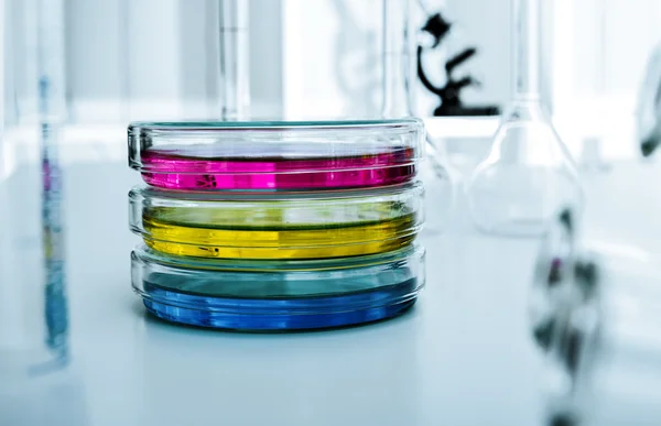 Capsule di Petri con mezzo di coltura in laboratorio — Foto Stock