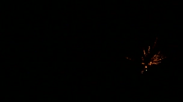 Affichage feux d'artifice dans le ciel nocturne .