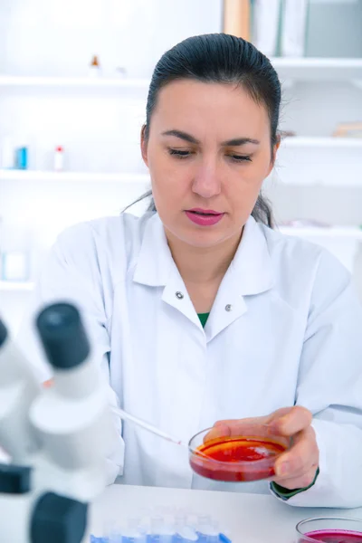 Científico examinando solución en placa de Petri en un laboratorio — Foto de Stock