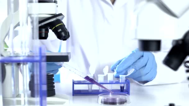 Researcher Working in Lab With Microscope.researcher in biochemical lab — Stock Video