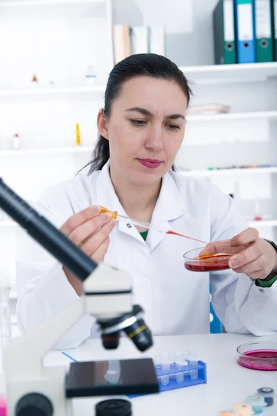 Ung kvinnlig forskare analysera prov i laboratorium.Laboratorium assistent analysera ett prov. — Stockfoto