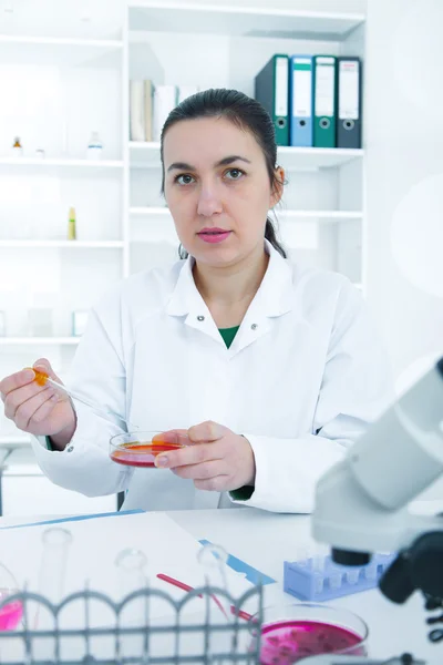 Jeune femme scientifique analysant un échantillon en laboratoire.assistant de laboratoire analysant un échantillon . — Photo