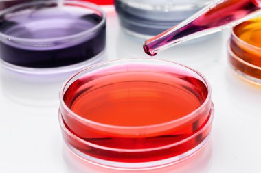 Pipette with drop of color liquid and petri dishes, clipart