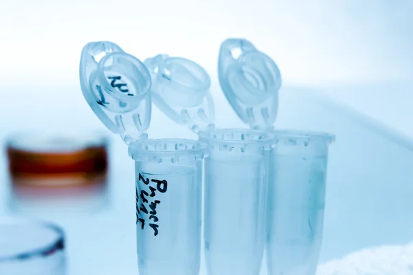 Micro tubes avec échantillons biologiques en laboratoire pour analyse ADN — Photo