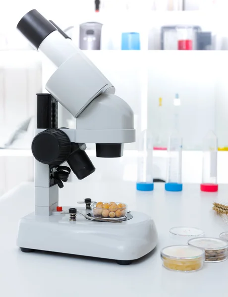 Chemical Laboratory of the Food supply . Food in laboratory, dna modify — Stock Photo, Image
