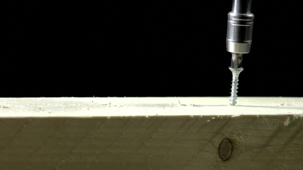 Close up of a Wood Screw Being Drilled Into a board — Stock Video