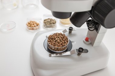 Kimyasal laboratuvar besin kaynağı. Dna laboratuvarında gıda, değiştirme