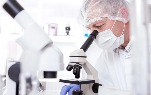 Assistente di laboratorio nel laboratorio di qualità alimentare.Test di coltura cellulare per testare sementi geneticamente modificate — Foto Stock