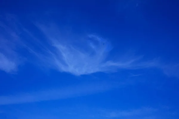 Gökyüzü Bulutundaki Cennet Kuşu. mistik