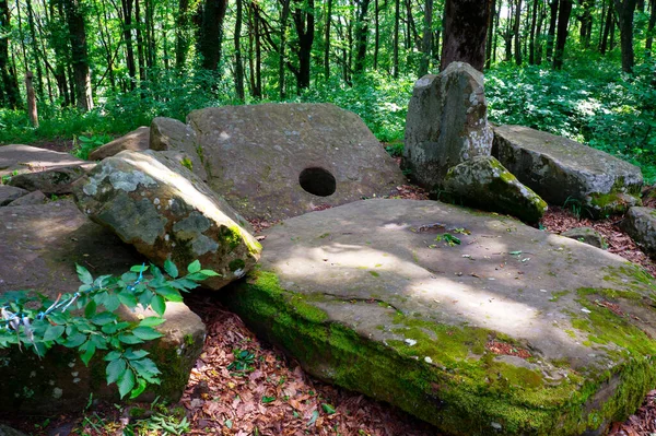 Koca Tuapse Dolmen. Kuban ormanlarında büyük bir yapı..
