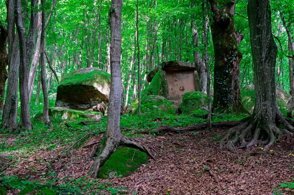 Stora Tuapsdösen Megalytisk Konstruktion Skogen Kuban Royaltyfria Stockbilder