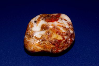 Deniz kabuğu ve güzel renkli taşlar jaspers