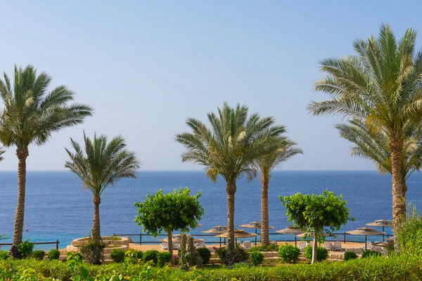 palm Beach üzerinde