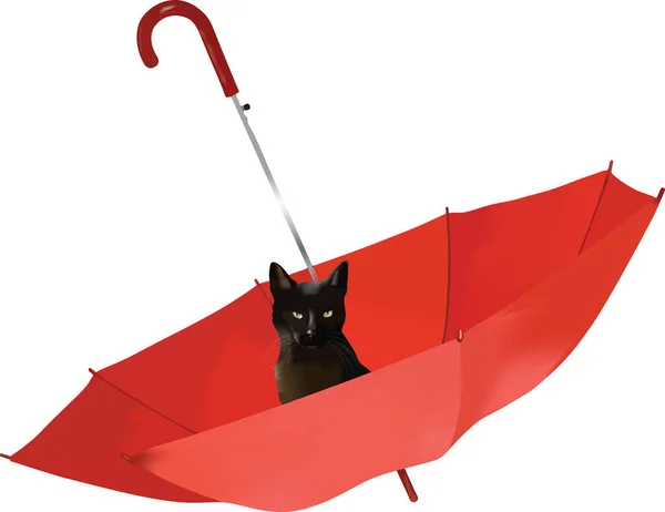 黒い猫は開いた赤い傘の中に座っている — ストックベクタ