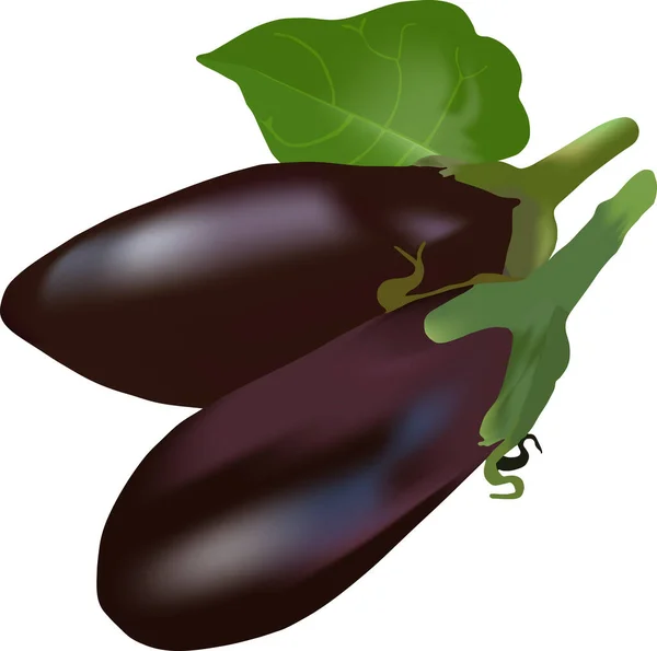 İki olgun patlıcan. Hasat et 