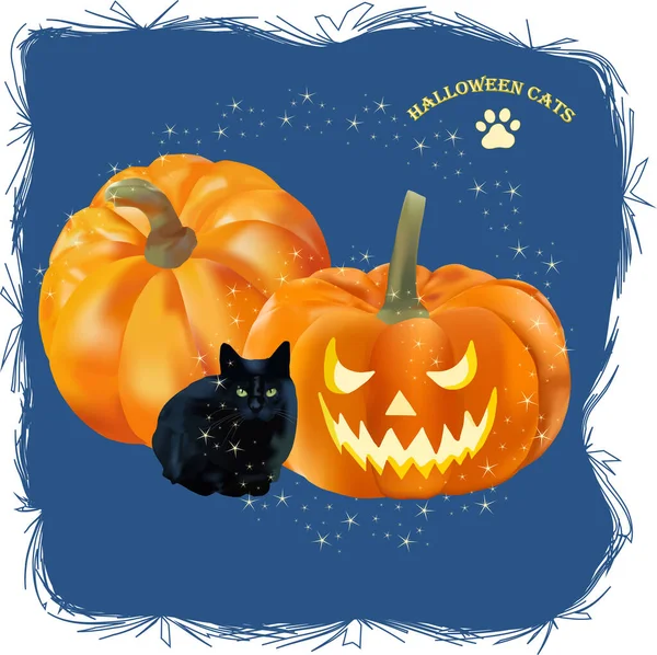 Cadılar Bayramı. Mavi arka planda balkabakları olan kara kedi. 