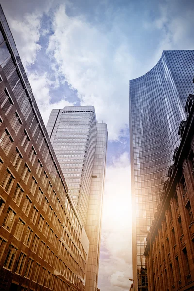 Office skyscrapers in the sun — Stock Photo, Image