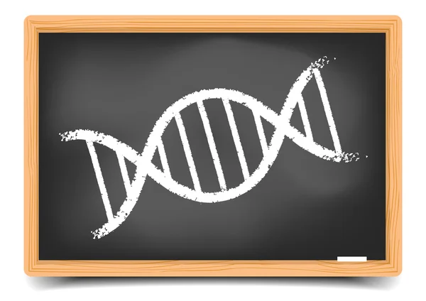 Blackboard Dna — Stockvector