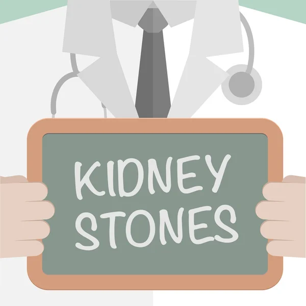 Kidney Stones — Stock Vector