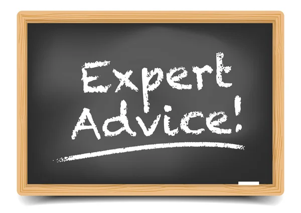 Expert Advice — Stock Vector