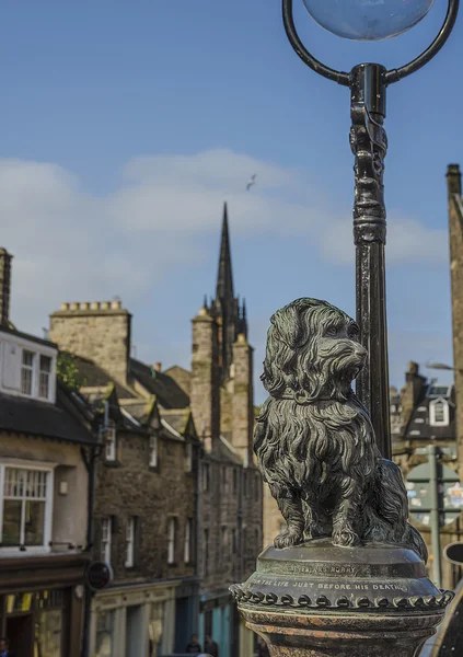 Greyfriars Bobby Statue — Stock Photo, Image