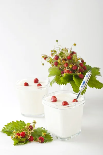 Yoghurt met wilde aardbeien — Stockfoto