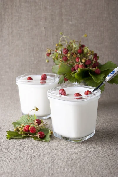 Joghurt mit Walderdbeeren — Stockfoto