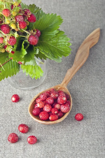 Wilde aardbeien close-up — Stockfoto