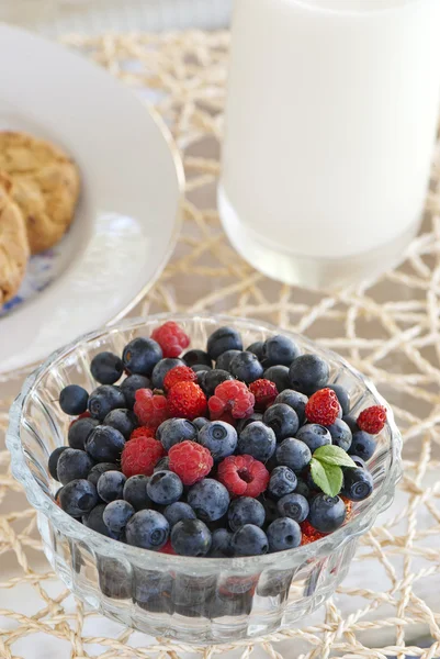 Assorted fresh berries — Stock Photo, Image