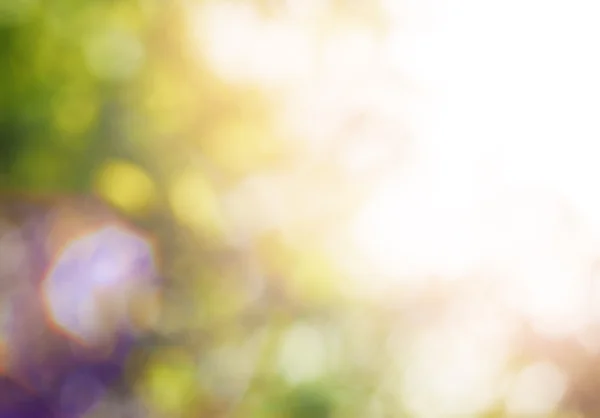 Yaz parlak renkli bokeh ile arka plan bulanık — Stok fotoğraf