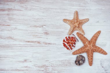 Eski Beyaz ahşap arka plan üzerinde kabukları