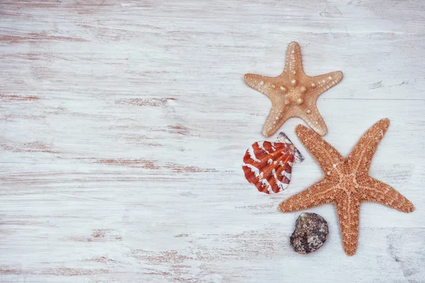 Eski Beyaz ahşap arka plan üzerinde kabukları