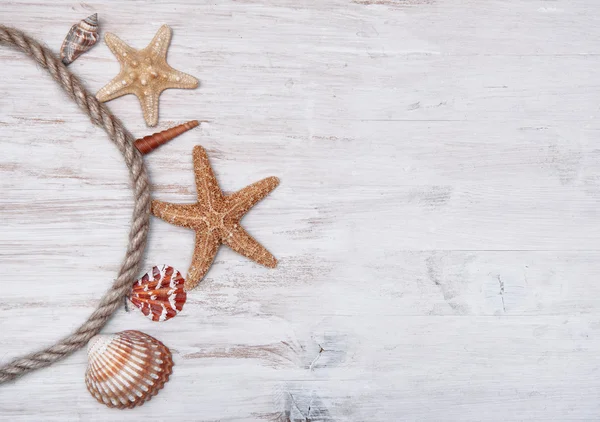 Deniz kabuklarını ve ip üzerinde eski püskü ahşap