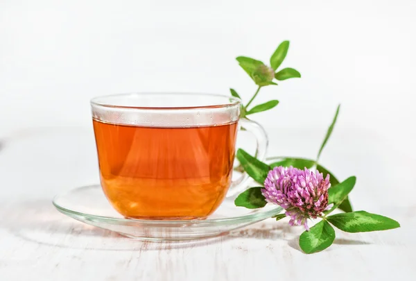 Kopp te och gren av klöver — Stockfoto