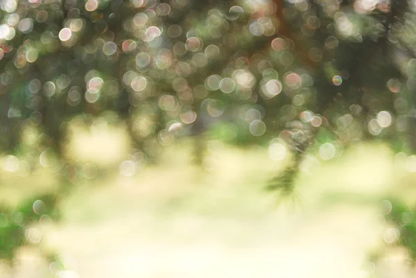 Abstrakte Frühling und Sommer verschwommenen Hintergrund mit Bokeh — Stockfoto