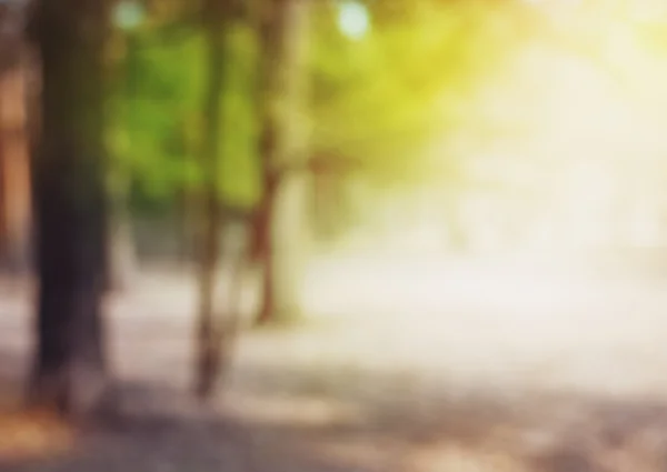 Astratto sfondo natura offuscata con la luce del sole — Foto Stock