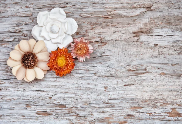 Fundo grunge com flores secas na madeira velha — Fotografia de Stock