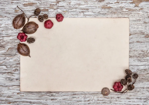 Fond en bois avec vieux papier et plantes sèches — Photo