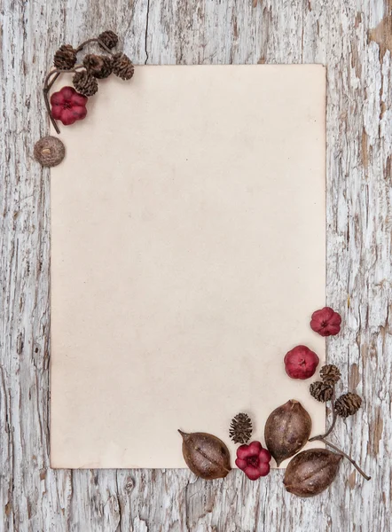 Wooden background with old paper and dry plants — Stock Photo, Image