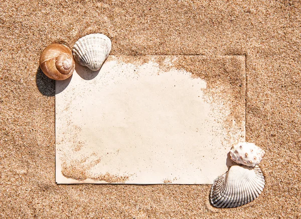 Sand background with sheet of paper and seashells — Stock Photo, Image