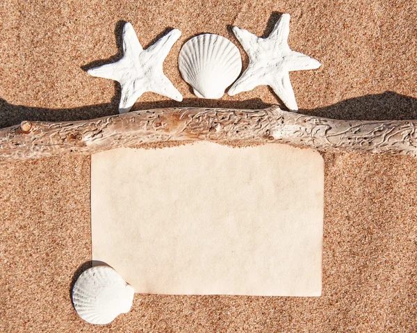 Carnet de papier, branche sèche et coquillages sur le sable — Photo